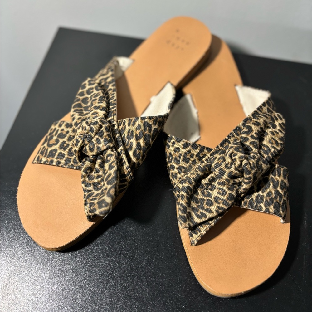 A new day leopard slides